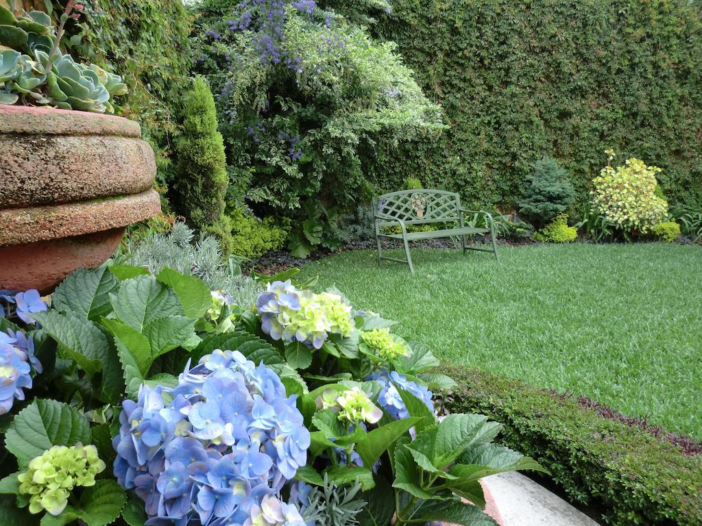 Hostal Villa Toscana 과테말라 외부 사진